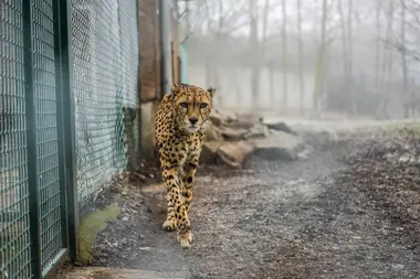 Zoo Ústí nad Labem - Nevinné oběti